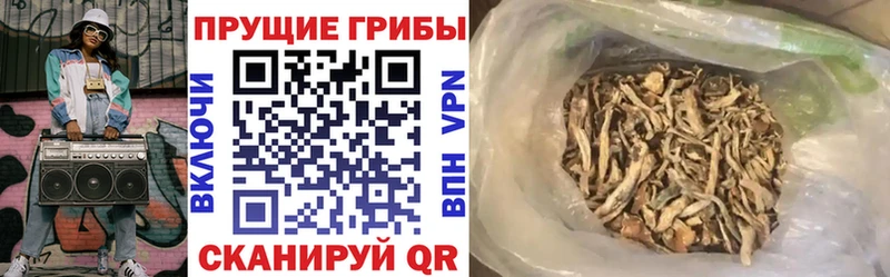 Купить закладки  Электроугли  Псилоцибиновые грибы MAGIC MUSHROOMS 